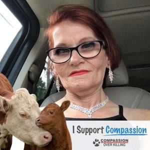 Meet your Posher, Robin